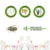 Pflücksalat Lollo rossa Samen - Lactuca sativa - Produktbild-Vorschau 2