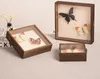 Gut sichtbare Schaubox, große Insekten-Schattenbox, Produktbild-Vorschau 3