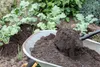 Dünger Basaltmehl Schneckenabwehr 10kg Produktbild-Vorschau 10