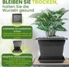 XXL Pflanzkübel anthrazit 48x48 cm, robust, modernes Produktbild-Vorschau 5