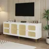 Rattan-TV-Schrank mit 4 Rattantüren, Höhenverstellbaren Produktbild-Vorschau 5