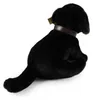 Pluszowy pies labrador, czarny, z obrożą i smyczką, 25 cm. Podgląd zdjęcia produktu 4