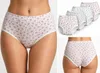 4x Damen Slips Unterhosen Unterwäsche Baumwolle, Produktbild-Vorschau 2