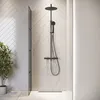 Duschwand Essos 40 x 200cm - Grauglass - Glas Produktbild-Vorschau 3