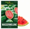 Wassermelonen Sugar Baby Samen - Citrullus lanatus - Produktbild-Vorschau 1