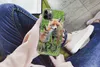 MuchoWow® Handyhülle Schutzhülle Hülle für iPhone 12 Pro Produktbild-Vorschau 3