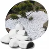 Thassos Kies 2–4 cm 1 kg – Weißer Naturstein aus Produktbild-Vorschau 1