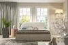 A bedroom with a bed, two windows, and a plant. Náhľad obrázku produktu