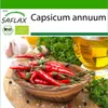 SAFLAX - BIO - Chilli - De Cayenne Long Slim - Capsicum Náhled obrázku produktu 10