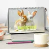 Kaninchen - Liebenswerte Fellbällchen (Tischkalender 2027 Produktbild-Vorschau 3
