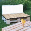Outdoor seating area with pallet furniture and cushions. Náhľad obrázku produktu