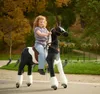 Cavallo meccanico Ponnie Domino XL PROFI Anteprima dell’immagine prodotto 14
