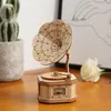 A wooden model gramophone sits on a wooden surface, with a potted cactus and a white rose in the background. Podgląd zdjęcia produktu