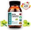 DR WAKDE'S Amla Kapseln (Amalaki | indische Stachelbeere | Produktbild-Vorschau 1