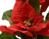 Weihnachtsstern Rot im braunen Topf Ø 30 - Kunstblumen Produktbild-Vorschau 6
