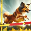 Hobby Horse Skippi haie de saut 135 cm Voir les images du produit 12