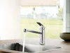 Hansa EHM Rubinetto da cucina. HANSABASIC Ausld. 223 mm Anteprima dell’immagine prodotto 2
