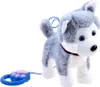 A plush husky toy dog with a leash and remote control. Produktbild-Vorschau