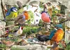 Puzzle RAVENSBURGER I nostri amici pennuti 1000 pezzi Anteprima dell’immagine prodotto 1