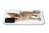 MuchoWow® Handyhülle Schutzhülle Hülle für Huawei P40 Katze Produktbild-Vorschau 5