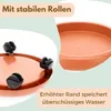 Pflanzenroller Rund Rollbrett Pflanzen Untersetzer Produktbild-Vorschau 4