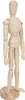 Wooden Human Figure Model Toy Movable Limbs Puppet Art Podgląd zdjęcia produktu 5