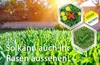 Roundup Rasen-Unkrautfrei Konzentrat 500 ml Produktbild-Vorschau 7