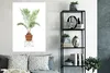 MuchoWow® Poster Pflanzen - Palme - Blumentopf 80x120 cm - Produktbild-Vorschau 4