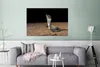 MuchoWow® Poster Indische Kobra bewegt sich im Sand 120x80 Produktbild-Vorschau 5