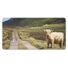 MuchoWow® Schreibtischunterlage Schottische Highlander - Produktbild-Vorschau 1