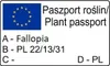 Opletka čínská (Fallopia aubertii) 1L Náhled obrázku produktu 8