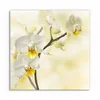 DEQORI Glasbild Echtglas 30x30 cm 'Orchideenzauber' Produktbild-Vorschau 2