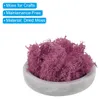 1.8 OZ Kunstmoos Konserviertes Rentiermoos Kš¹nstliches Produktbild-Vorschau 2
