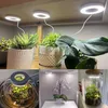 LED Pflanzenlampe Vollspektrum 3 Lichtmodi Dimmbar Produktbild-Vorschau 9
