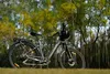 27,5-Zoll 48V 15AH City E-Bikes E-Hollandräder Wasserdicht Produktbild-Vorschau 6