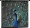 MuchoWow® Wandteppich Wandbehang Pfau - Federn - Farben Produktbild-Vorschau 1