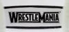 Casque WWE Championship Belt Junior pour enfants Voir les images du produit 2