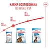 Pienso Royal Canin Maxi Starter Mutter & Babydo Aves 4 Kg Produktbild-Vorschau 12