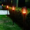 Solar torch lights illuminating a garden path at night. Voir les images du produit