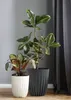 HowHomely Blumentopf Rund 30 cm Höhe, Pflanzkübel, Grün Produktbild-Vorschau 2