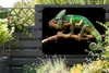 MuchoWow® Produktbild-Vorschau 5