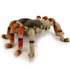 Plüsch Vogelspinne 21cm Spinne Realistisch Premium Deko Produktbild-Vorschau 3