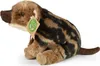 Rappa Plüsch Wildschwein Kuscheltier 20 cm Produktbild-Vorschau 2