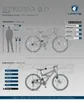 Licorne Bike Strong 2D Premium Mountainbike in 26, 27,5 und Produktbild-Vorschau 6