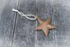 Shabby Stern Rost 8cm Produktbild-Vorschau 1
