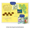 A flat lay of a KOSMOS Mimosen-Garten experiment kit, showing all its components on a yellow background. Produktbild-Vorschau