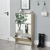 A shoe cabinet with mirrored doors is shown in a hallway next to a white door. There are plants on the cabinet and shoes in the bottom drawer. Boots are placed on the floor next to the cabinet. Anteprima dell’immagine prodotto