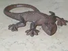 Dekorative Gartenfigur Salamander Gekko Echse Produktbild-Vorschau 2