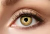 Lentilles de contact or lentilles de couleur or différents Voir les images du produit 4
