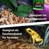 Sphagnum Moos 1kg – Premium Sphagnum Moos für Orchideen, Produktbild-Vorschau 5